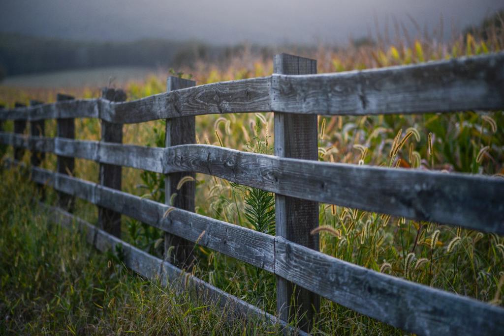 Photo of a grey wooden fence running through a field of wild grasses.